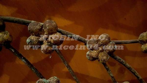 3b9d75ababa9878fde12b2ae0ec8d221_1484107